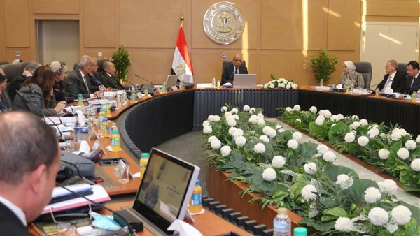 القابضة لكهرباء مصر