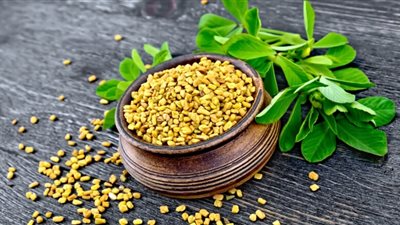 صورة تعبيرية- الحلبة
