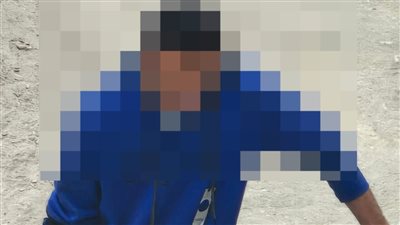 حبس المتهم بالتعدي على الكلاب الضالة بالمعادي 4 أيام