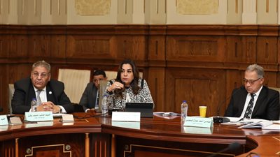 وزيرة التنمية المحلية تعلن تفاصيل خطة التعامل مع الكلاب الضالة بالمحافظات 