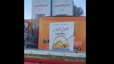 محافظ الجيزة يشهد احتفالية تجهيز 150 عروسة من المقبلين على الزواج | صور