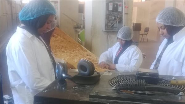 المنطقة الصناعية