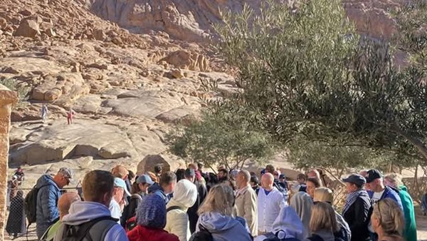  زيارة السائحين لمدينة