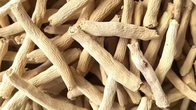 أبرزها تقليل القلق.. تعرف على الفوائد الصحية لـ الأشواغاندا