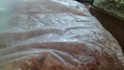 صحة القليوبية توصي بإغلاق 5 منشآت غذائية لإدارتها بدون ترخيص من الجهات المختصة