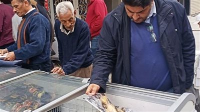 غلق 173 منشأة وتحرير 2745 محضرًا في حملات مكثفة بالإسكندرية خلال أسبوع