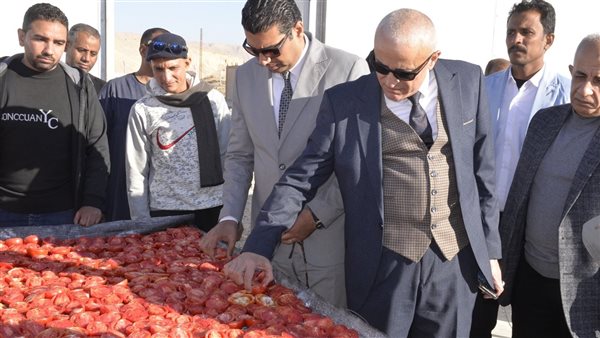 محافظ الأقصر يتابع