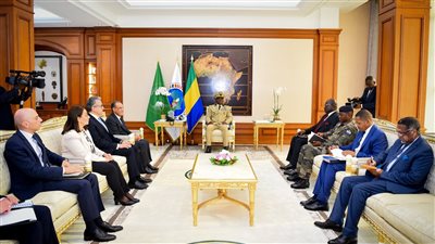 مصر والجابون تتفقان على تنسيق جهودهما في المنظمات الدولية