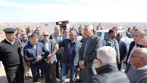 محافظ أسوان