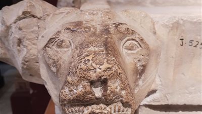 المتحف المصري بالتحرير يعرض قطعة أثرية فريدة لـ الملك زوسر| صور 