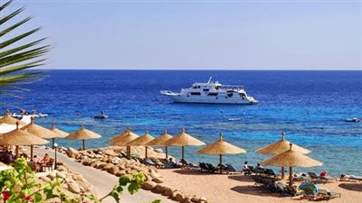 بكل لغات العالم.. فنادق مرسى علم تعتذر لنزلائها لمنع نزول البحر 3 أيام عقب حادث سمكة القرش