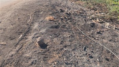 شكاوى من انقطاع التيار الكهربائي منذ أمس بسبب سقوط سلك بكفر الحامدية بالمنوفية.. والكهرباء: جار إصلاحه