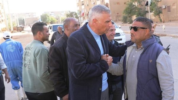 محافظ أسوان