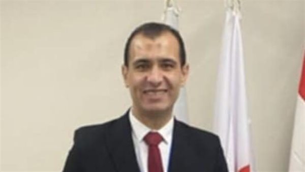 الدكتور إبراهيم ناصر