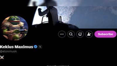 مستوحاة من ميم.. إيلون ماسك يثير الجدل بعد تغيير اسمه وصورته لضفدع على منصة X