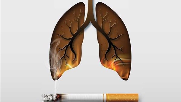 ماذا يحدث للجسم عند