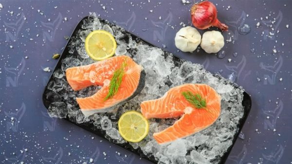 سمك السلمون 