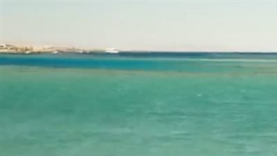 استئناف الأنشطة البحرية بمنطقة مرسى علم عقب غلق دام لـ72 ساعة بسبب هجوم القرش| بث مباشر 