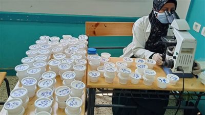 صحة سوهاج: فحص أكثر من 373 ألف طالب بمبادرة القضاء على البلهارسيا والطفيليات المعوية