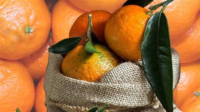 فوائد اليوسفي.. مفعول سحري قبل النوم للزكام والبشرة