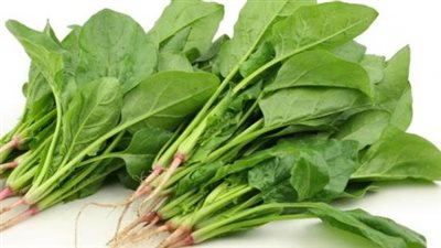 القليل منها مفيد.. فوائد السبانخ وأضرارها على صحة الجسم