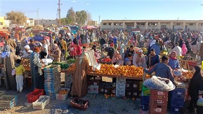 للمرة الثامنة.. افتتاح أسواق اليوم الواحد في المنوفية