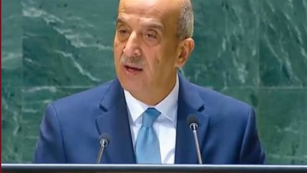 مندوب مصر بمجلس الأمن