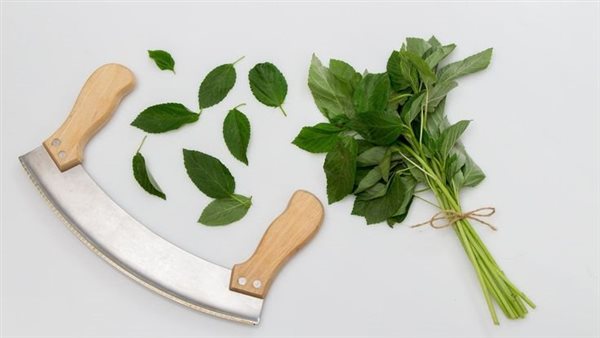 طريقة عمل الملوخية