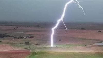 نفوق 11 رأس أغنام بسبب صاعقة رعدية في سيدي براني بمطروح 