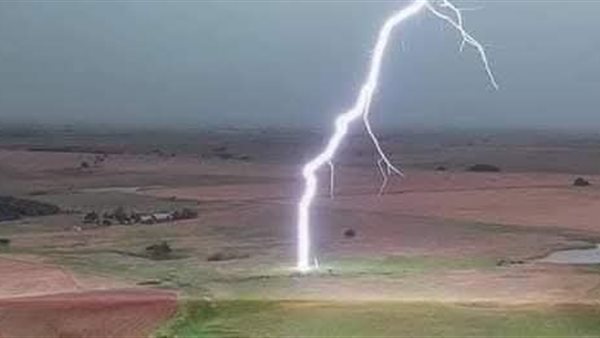 نفوق 11 رأس أغنام