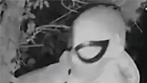 شخص يرتدي زي سبايدر