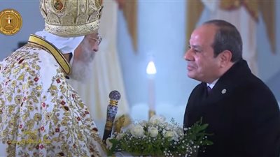 السيسي: بتابع كل ردود الأفعال والقلق ممكن يكون مبرر