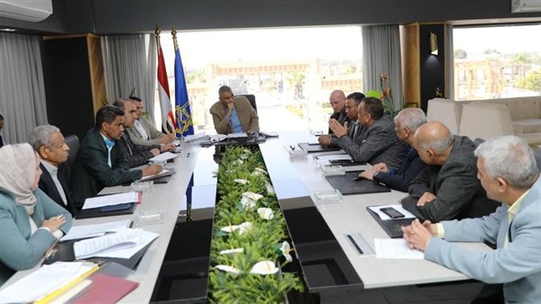 محافظ أسوان