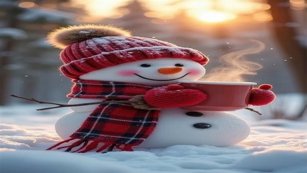 إجازة عيد الميلاد