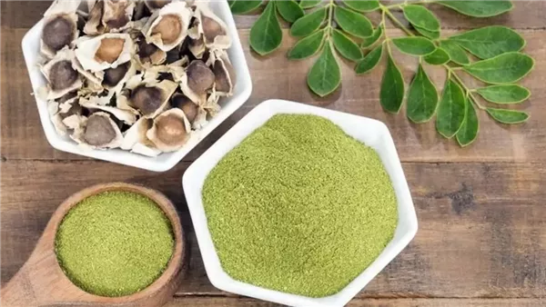 فوائد المورينجا