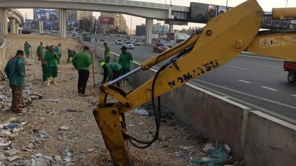 مشروع تشجير الطريق