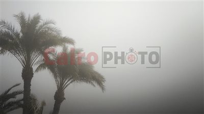 شبورة كثيفة في الصباح.. الأرصاد تكشف تفاصيل حالة الطقس غدا 