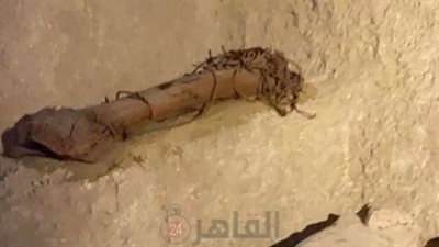 زاهي حواس: اكتشفنا تابوتا لطفل معلق وموثق بالحبال منذ 3600 سنة