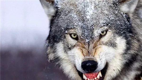 لماذا يخاف الجن من