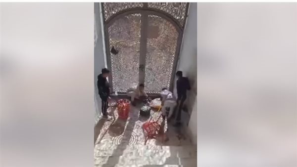 المتهمون بتعذيب قطة