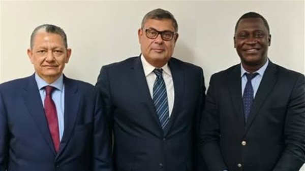 السفير أبو بكر حفني