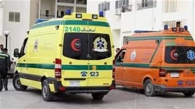 بسب وجبة فسيخ.. إصابة 6 أشخاص من أسرة بتسمم غذائي بالدقهلية 