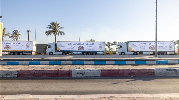 صندوق تحيا مصر 