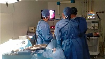 توقيع الكشف الطبي المجاني على 743 حالة في قافلة طبية بالوادي الجديد| صور