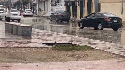 بالتزامن مع المنخفض الجوي.. أمطار متفاوتة الشدة تضرب بورسعيد وشمال سيناء | بث مباشر