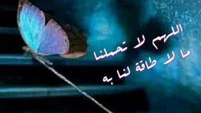 متى نقرأ أواخر سورة البقرة؟.. 5 أوقات مستحبة أفضلها عند النوم