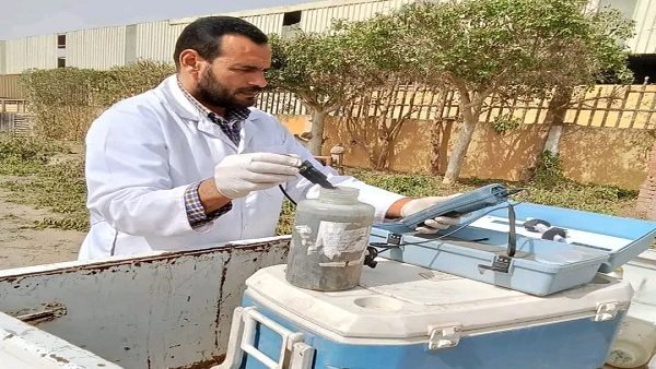 مياه الفيوم