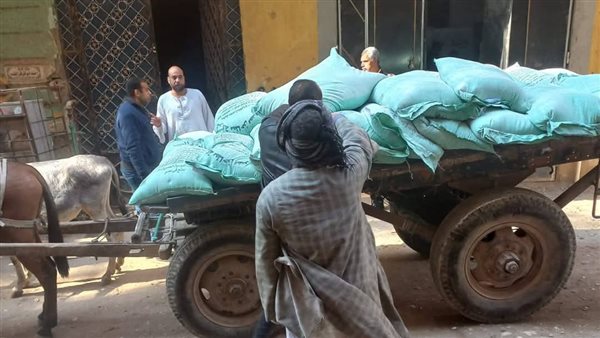 ضبط دقيق بلدي 