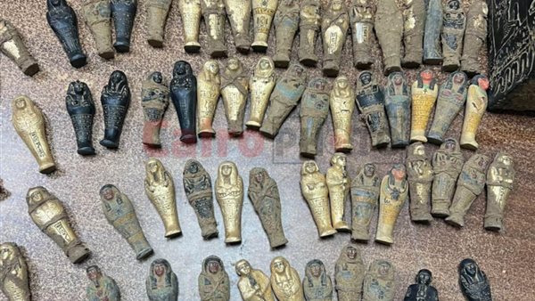 تموين الفيوم …ضبط