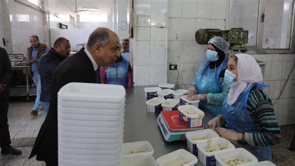 محافظ المنيا